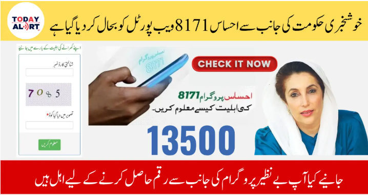 Ehsaas 8171 Web Portal July 2025 Payment and Registration Status